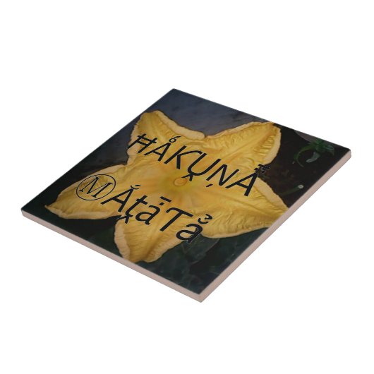 Golden Star Hakuna Matata Kunstdruk Tegeltje (Zijkant)