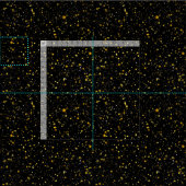 Golden Stars Stof (Delen)