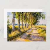Golden Summer Tree Alley Feestdagenkaart (Voorkant / Achterkant)