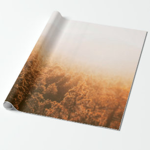 GOLDEN SUN OVER A FOREST CADEAUPAPIER