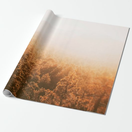 GOLDEN SUN OVER A FOREST CADEAUPAPIER (Uitgerold)