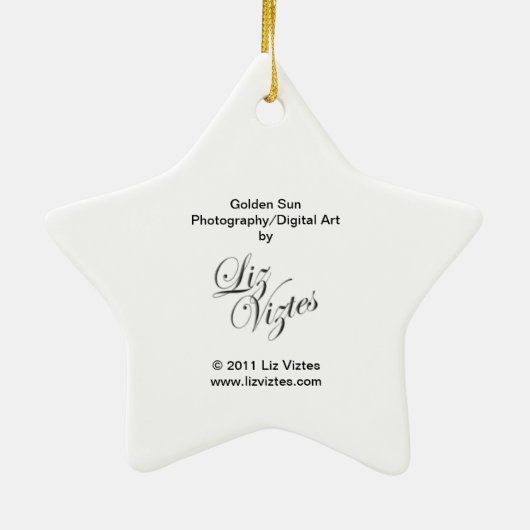 Golden Sun Star Ornament (Achterkant)