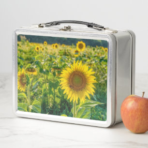 Golden Sunflower Field