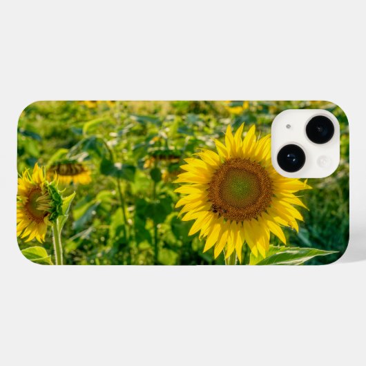 Golden Sunflower Field Case-Mate iPhone Case (Achterkant (horizontaal))