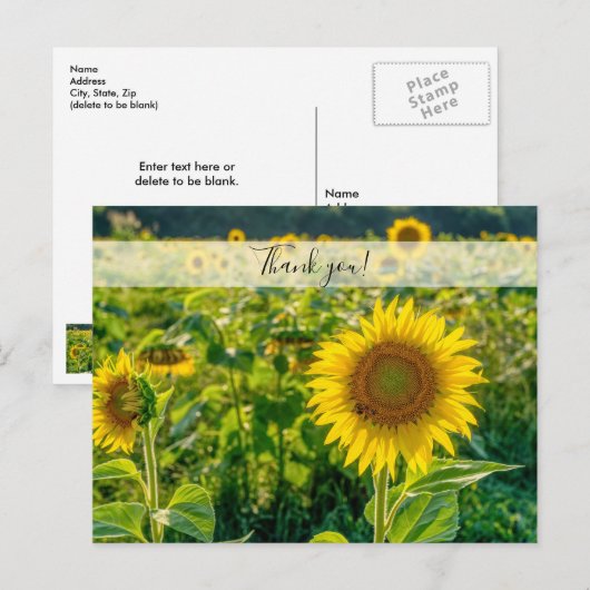 Golden Sunflower Field Hartelijk dank Briefkaart (Voorkant / Achterkant)