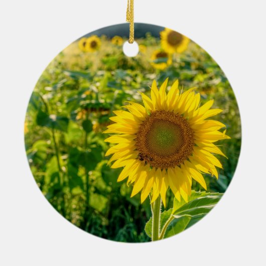 Golden Sunflower Field Keramisch Ornament (Achterkant)