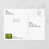 Golden Sunflower Field krijgen snel Briefkaart (Achterkant)