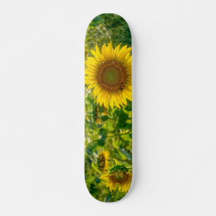 Golden Sunflower Field Persoonlijk Skateboard