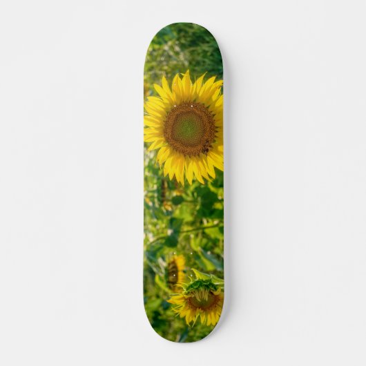 Golden Sunflower Field Persoonlijk Skateboard (Voorkant)
