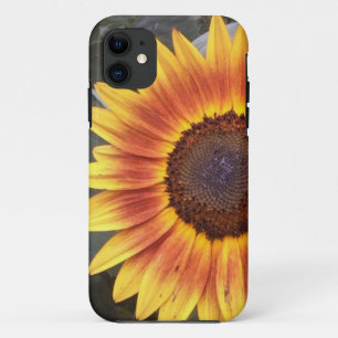 Golden Sunflower iPhone 5 hoesje