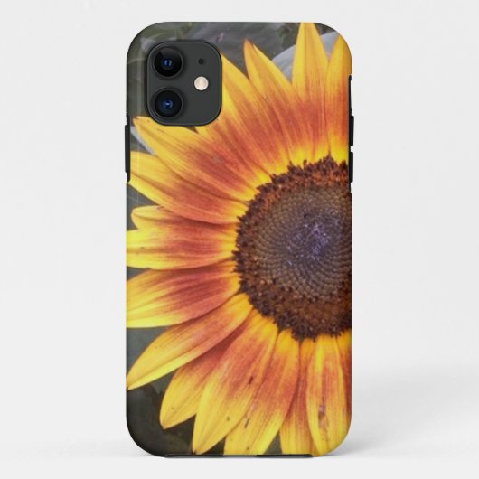 Golden Sunflower iPhone 5 hoesje (Achterkant)