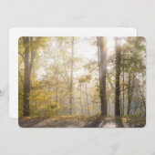 Golden sunlight through autumn trees feestdagenkaart (Voorkant / Achterkant)