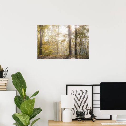 Golden sunlight through autumn trees poster (Thuiskantoor)