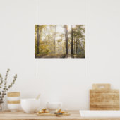 Golden sunlight through autumn trees poster (Keuken)