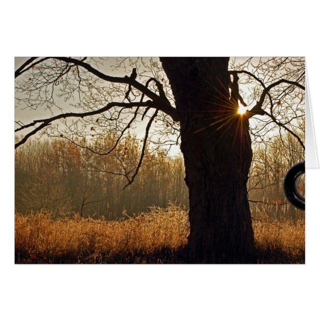 Golden Sunrise (Voorkant Horizontaal)