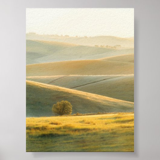 Golden Sunrise bij Rolling Hills Poster (Voorkant)