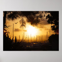 Golden Sunrise boven de haven