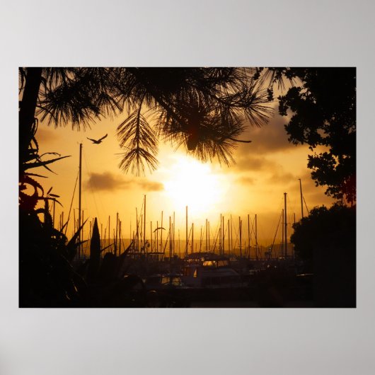 Golden Sunrise boven de haven Poster (Voorkant)