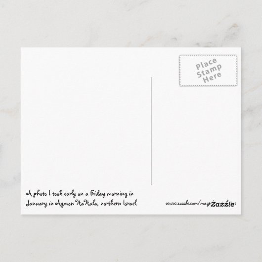 Golden Sunrise Briefkaart (Achterkant)