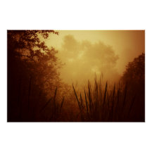 Golden Sunrise Landschap