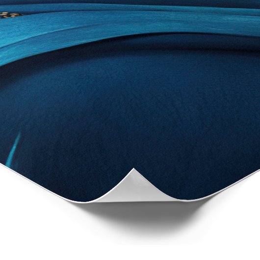 Golden Sunset Beauty Poster (Hoek)