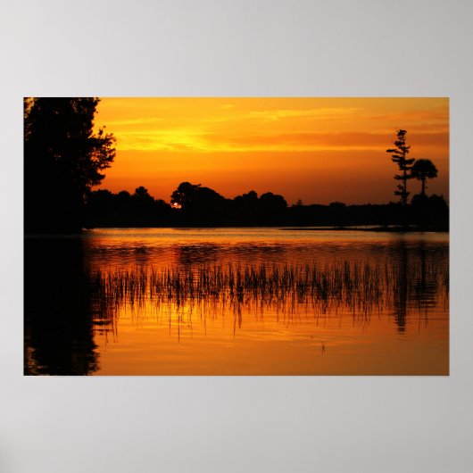 Golden Sunset Behind a Lake Poster (Voorkant)