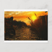 Golden Sunset Briefkaart (Voorkant)