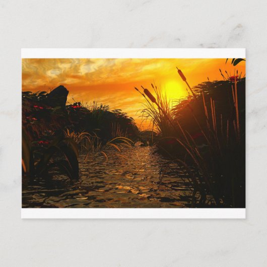 Golden Sunset Briefkaart (Voorkant)