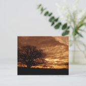 Golden sunset California Briefkaart (Staand voorkant)