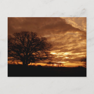 Golden sunset California Briefkaart