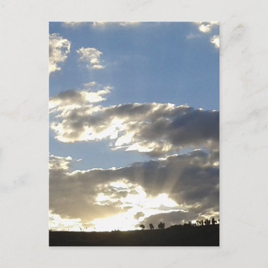 Golden Sunset Clouds Briefkaart (Voorkant)