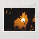 Golden Sunset Garden Ubud – Art Postcard Briefkaart (Voorkant)
