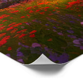 Golden Sunset Lake Poster (Hoek)