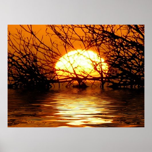 Golden Sunset Liquid Reflection Poster (Voorkant)