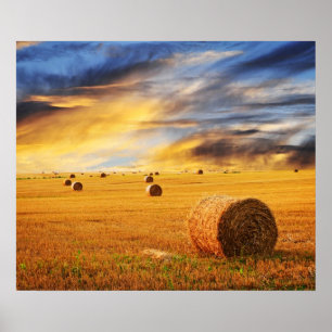 Golden Sunset Over Boerderij Field Poster