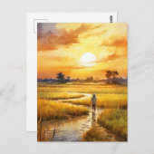 Golden Sunset Over Rural Rice Fields Briefkaart (Voorkant / Achterkant)