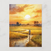 Golden Sunset Over Rural Rice Fields Briefkaart (Voorkant)