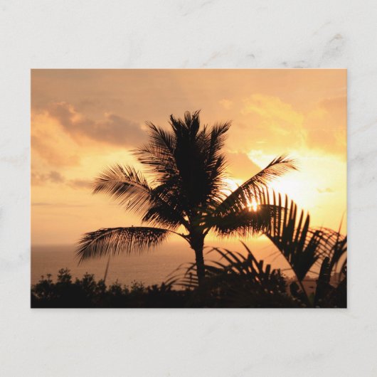 Golden Sunset Tropical Briefkaart (Voorkant)