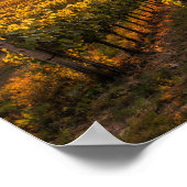 Golden Sunset Vineyard Poster - Tuscan Landscape (Hoek)