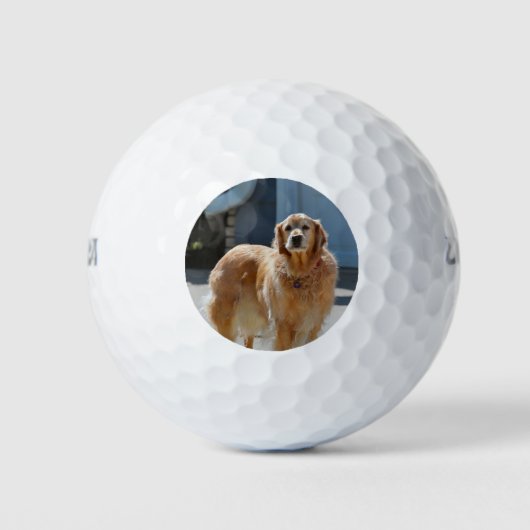 Golden sunshine golfballen (Voorkant)