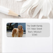 Golden Sunshine Return Label (Insitu)