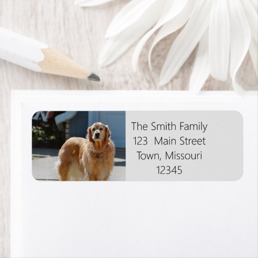 Golden Sunshine Return Label (Insitu)