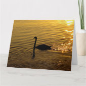Golden Swan Kaart (Voorkant)