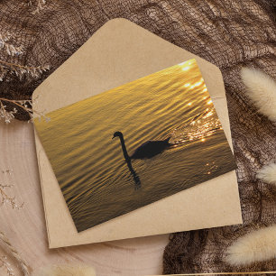 Golden Swan Kaart