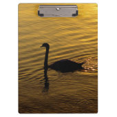Golden Swan Klembord (Voorkant)