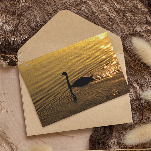 Golden Swan Paper