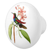 Golden Tailed Sapphire Hummingbird Keramische Knop (Rechts)