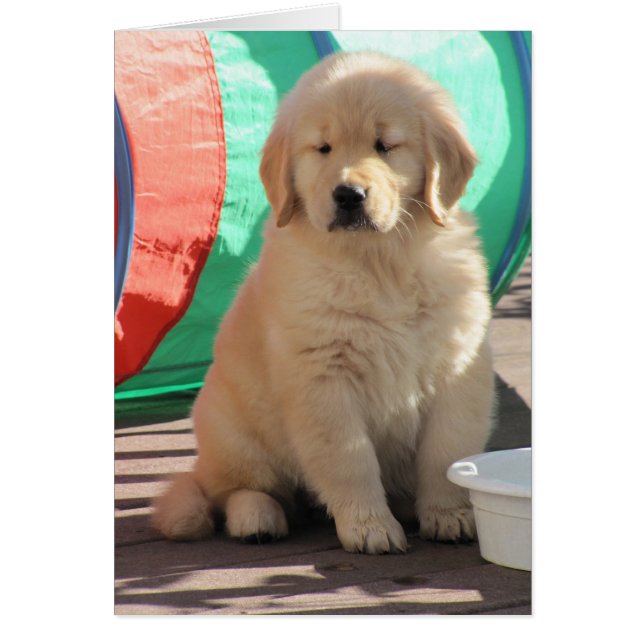 Golden Thinkin' (Voorkant)