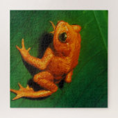 GOLDEN TOAD LEGPUZZEL (Horizontaal)