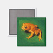 Golden Toad Magnet (Voorkant / Achterkant)